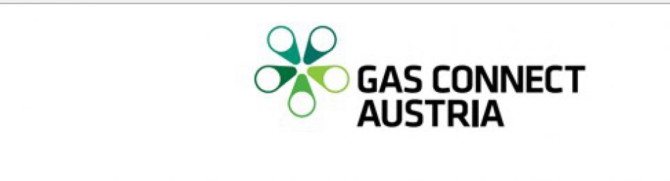 Baumgarten Operator Points to Explosion's Likely Cause 